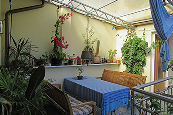 Kälteschock: Bougainvillea vor....