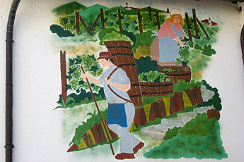 Weinernte in alter Zeit