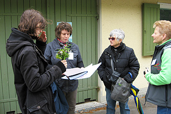 Auf botanischer Exkursion am Limberg