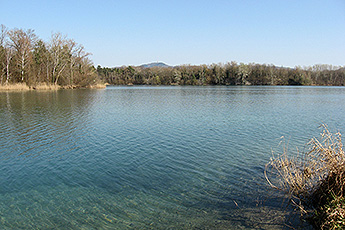 der Burkheimer See