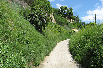 Von Bötzingen zum Vogelsangpass