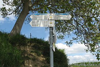 Wegweiser Knabenkrautpfad