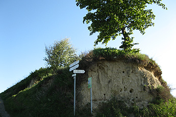 Lösskeil