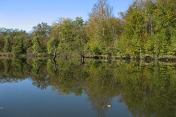 Kanufahren im Taubergießen