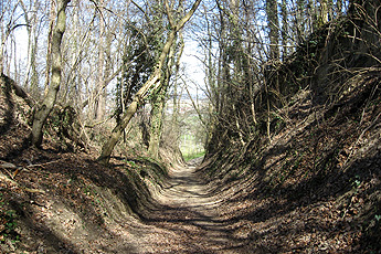 Hohlweg im Wald