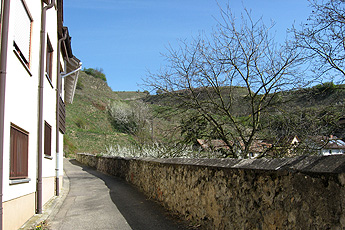 Oberrotweil: Blick zum Badenberg