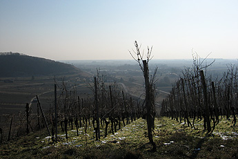 Blick vom Achkarrer Schlossberg