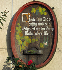 Wein-Weisheiten