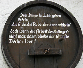 Wein-Weisheiten