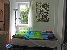 Small room  with pull-out bed