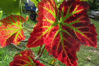 Mit Antony auf Fotopirsch Mit Antony auf Fotopirsch