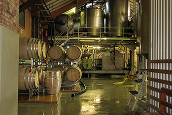 Rotwein-Maischeverarbeitungs-Halle Rotwein-Maischeverarbeitungs-Halle