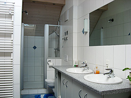 Guests' bathroom
