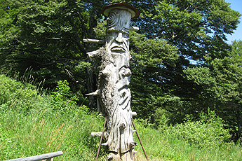 Tree sculpture