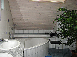 Guests' bathroom
