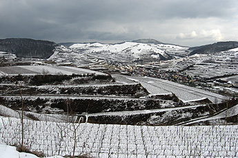 Winter in the Kaiserstuhl hills Winter in the Kaiserstuhl hills