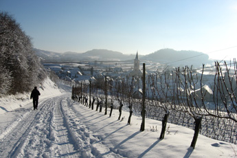 Winter at the Kaiserstuhl hills Winter at the Kaiserstuhl hills