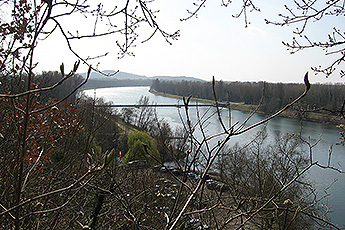 Der Rhein, von der Limburg aus betrachtet